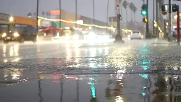 Photo of Lights reflection on road in rainy weather. Palm trees and rainfall, California.