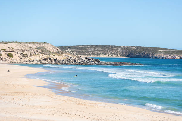 Surfers at Greenly Beach, South Australia Surfers at Greenly Beach, South Australia cape le grand national park stock pictures, royalty-free photos & images