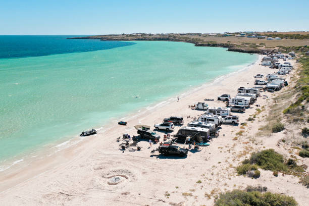 wohnwagen und autos camping am perlubie beach, streaky bay, südaustralien - 4wd 4x4 convoy australia stock-fotos und bilder