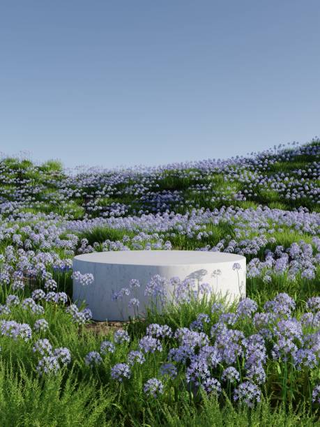 istock Podium on natural purple flower field 3D render illustration 1393495977
