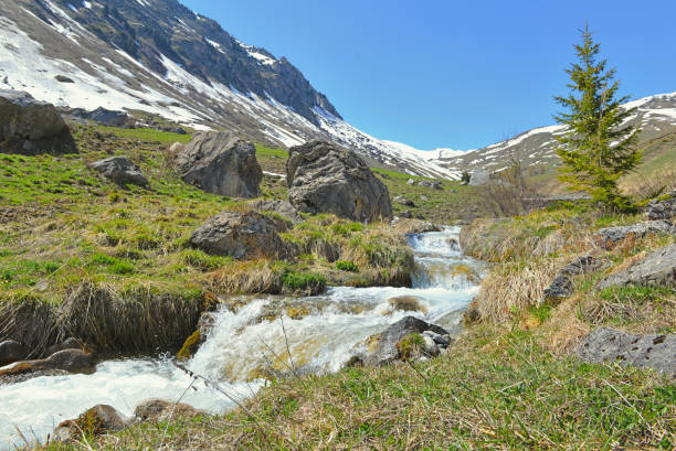 istock river flowing in  alpine valley with snowy peak  mountain background under blue sky 1393497756