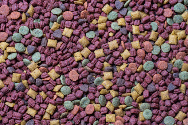 istock Cat food background and texture , top view 1393497781