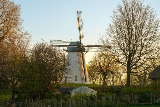 The windmill Grafelijke Korenmolen and the St. Oswaldus church in the background in Zeddam, Netherlands