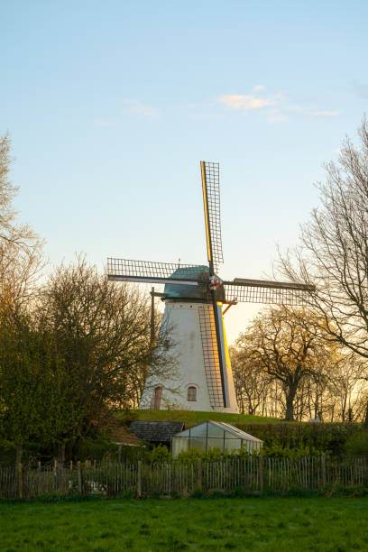 アンゼゲムの製山地 - belgium bruges windmill europe ストックフォトと画像