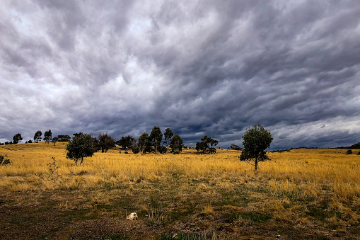 Open grazing land on a stormy day