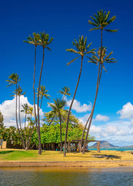 Kahala Beach park in Oahu, Hawaii