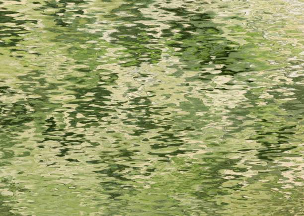abstract image of the water surface.