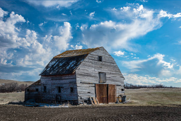 istock Blue sky over an abandoned barn on the prairies in Saskatchewan 1393501684