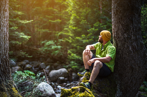 Vertical shot of a male hiker resting at the tree in the forest and looking at view