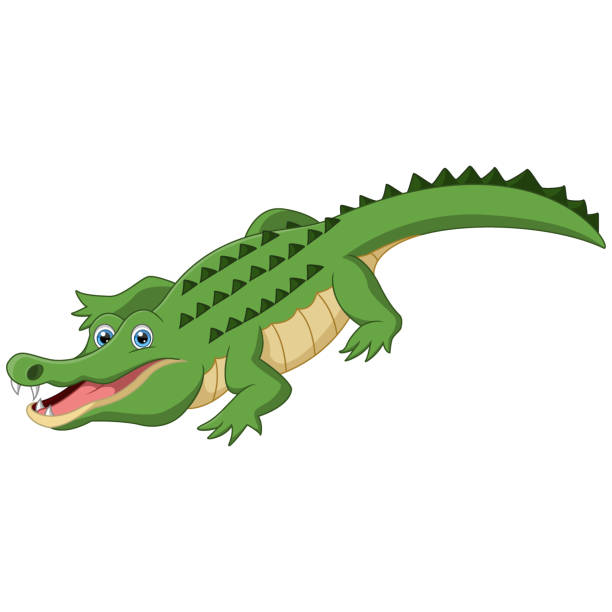 Cute Alligator Cartoon On White Background Stock Illustration - Download Image Now - Alligator, Crocodile, Tail - iStock Cute Alligator Cartoon On White Background Stock Illustration - Download Image Now - Alligator, Crocodile, Tail - iStock