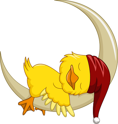 Vector Illustration of Cute baby duck cartoon sleeps on the moon