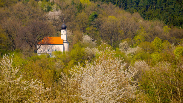 Beautiful small chapel with copper onion dome amidst white blooming mixed forest in early spring in Bavaria