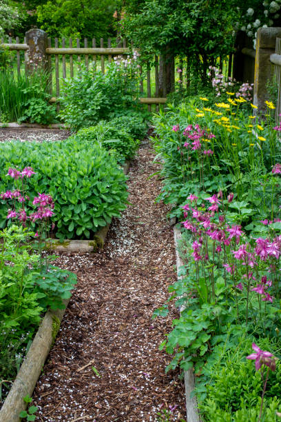 istock Bark chips path between beds of a rural vegetable and flower garden 1393507938