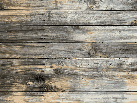 Wooden wall background. Wood texture.