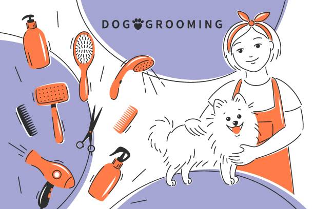 Grooming 08 Dog grooming. Cartoon dog with professional barber woman grooming dog. Different tools for animal hair grooming, haircuts, bathing, hygiene. Vector illustration pomeranian dog taking a bath stock illustrations