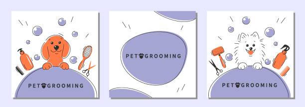 Grooming 17 Pet grooming. Cartoon dogs with different tools for animal hair grooming, haircuts, bathing, hygiene. Vector illustration for pet care salon. pomeranian dog taking a bath stock illustrations