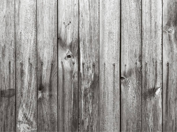 Wooden wall background. Wood texture. Wooden wall background. Wood texture. damaged fence stock illustrations