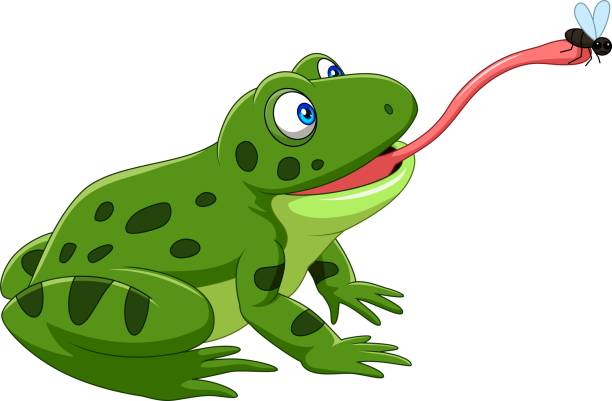 illustrations, cliparts, dessins animés et icônes de grenouille de dessin animé attrapant une mouche - frog animal tongue animal eating