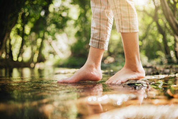 istock woman wading barefoot in stream in nature forest 1393516196