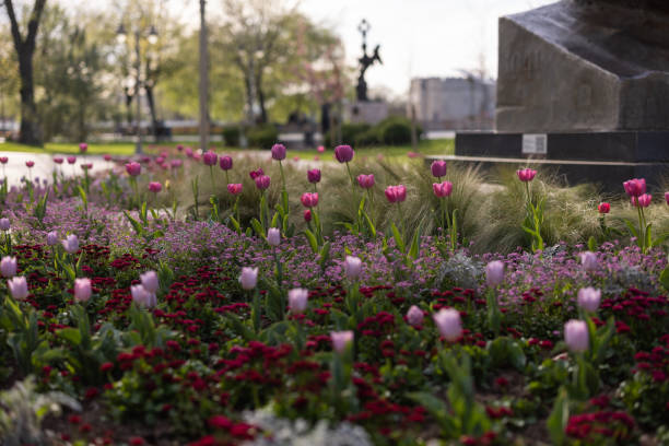 istock Sunny spring day in city park 1393517937
