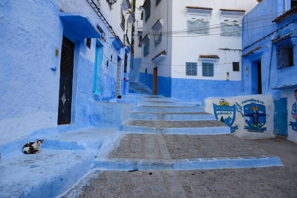 istock Street in Chefchaouen, Morocco 1393518485