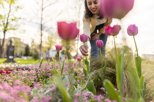 Beautiful young woman admiring tulips in city park on sunny spring day