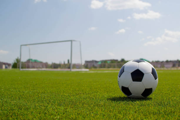 istock Soccer ball on the stadium with a gate 1393521929