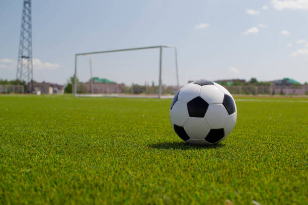 istock Soccer ball on the stadium with a gate 1393522855