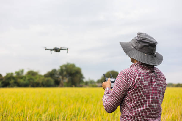 istock Asian farmer using drone flying navigating above farmland rice field. A young farmer controls a drone in a large scale survey of tenderly touching a young rice in the agricultural plots 1393528082