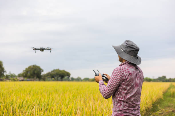 istock Asian farmer using drone flying navigating above farmland rice field. A young farmer controls a drone in a large scale survey of tenderly touching a young rice in the agricultural plots 1393528684