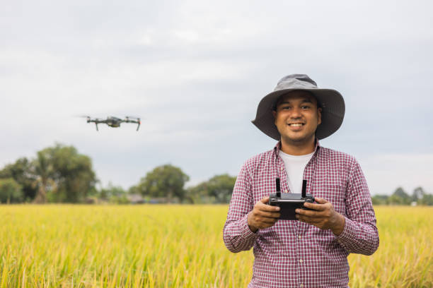 istock Asian farmer using drone flying navigating above farmland rice field. A young farmer controls a drone in a large scale survey of tenderly touching a young rice in the agricultural plots 1393528695