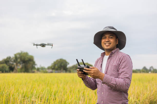 istock Asian farmer using drone flying navigating above farmland rice field. A young farmer controls a drone in a large scale survey of tenderly touching a young rice in the agricultural plots 1393529283