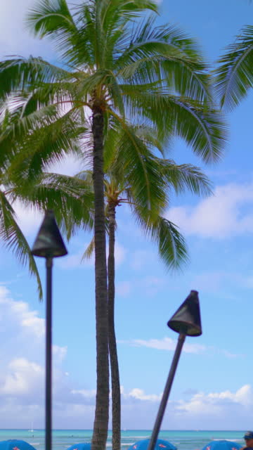 Vertical video of tiki torch in Hawaii in 4k slow motion 60fps