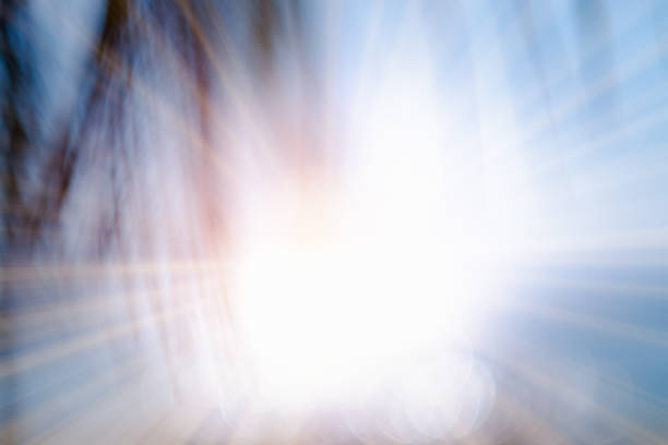 Sea and coconut palm leaf  with sun rays. Blurred image for background
