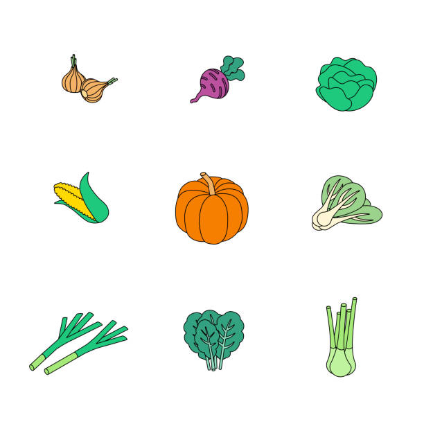 ilustraciones, imágenes clip art, dibujos animados e iconos de stock de juego isométrico de alimentos y bebidas - healthy eating food and drink raw leek