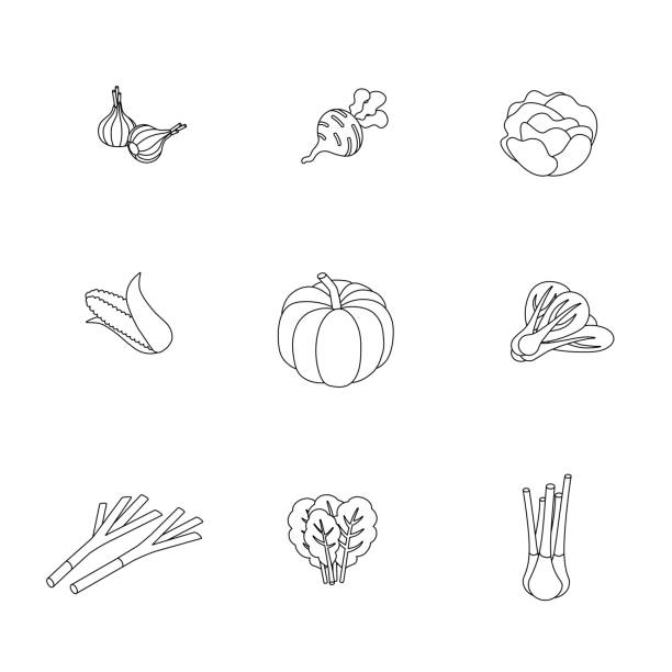 ilustraciones, imágenes clip art, dibujos animados e iconos de stock de juego isométrico de alimentos y bebidas - healthy eating food and drink raw leek