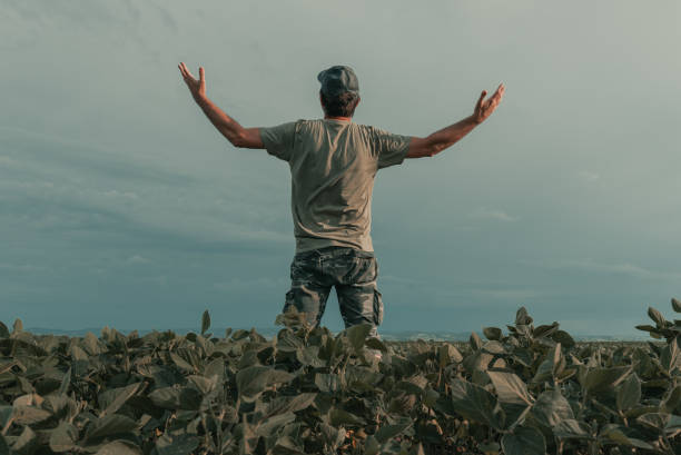 istock Serious concerned agronomist farmer examining development of green soybean 1393541991