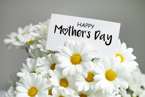 mensagem feliz do dia das mães com margaridas - flower head bouquet daisy petal - fotografias e filmes do acervo