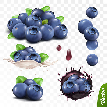 3D realistic blueberry set, lying heaps of berries with leaves, falling bilberries, splash of milk or yogurt, splash of juice