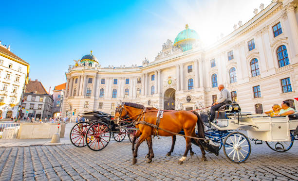 carrozza a cavalli di fronte al palazzo hofburg, centro storico di vienna - architectural styles animal horse europe foto e immagini stock