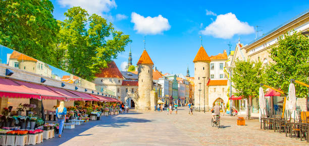 panorama della città vecchia di tallinn e delle torri della porta viru, estonia - tallinn foto e immagini stock