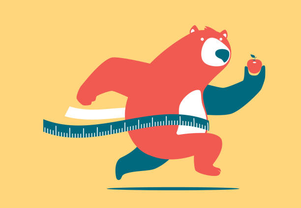 niedźwiedź trzymający jabłko i sprint - tape measure apple dieting measuring stock illustrations