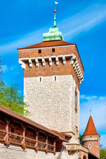 110+ Floriano Di Lorch Foto stock, immagini e fotografie royaltyfree