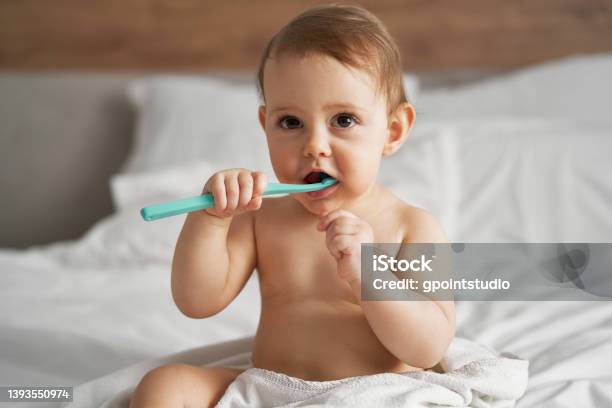 Little Baby Starting Brushing A Teeth After The Bath Stock Photo - Download Image Now