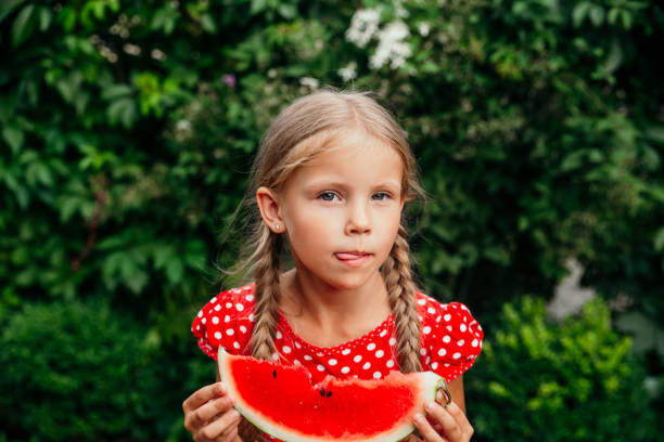 Little girl in red dress eating watermelon in the garden. Kids eat fruit outdoors. stock photo