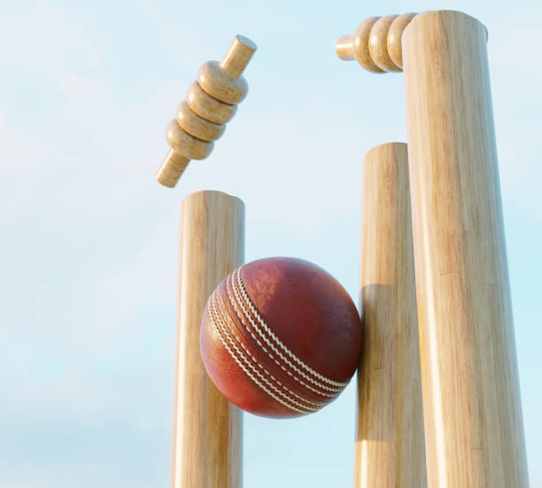 cricket wicket stumps - crease fotografías e imágenes de stock