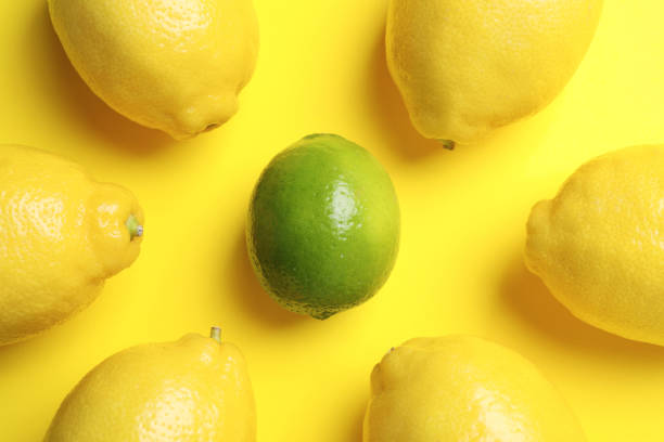 Lime among lemons on yellow background, flat lay