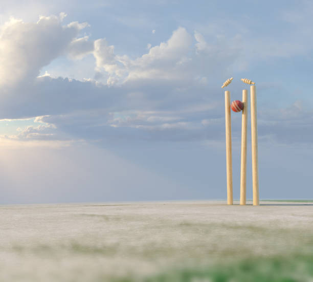 cricket wicket stumps - crease fotografías e imágenes de stock
