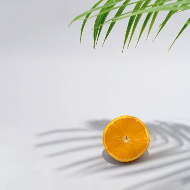 istock Orange slice under green palm branch. Palm tree shadow imitating beach summer day. Aesthetic abstract design idea. Sunny day concept. 1393560132