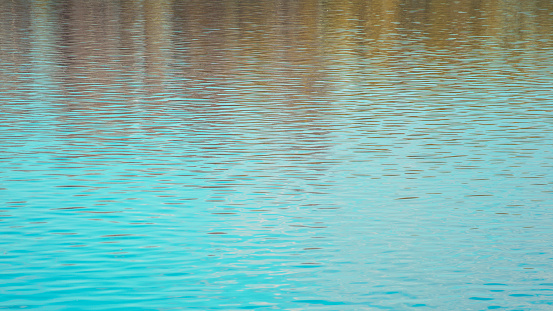 waves of water surface with mirror of forest in autumn